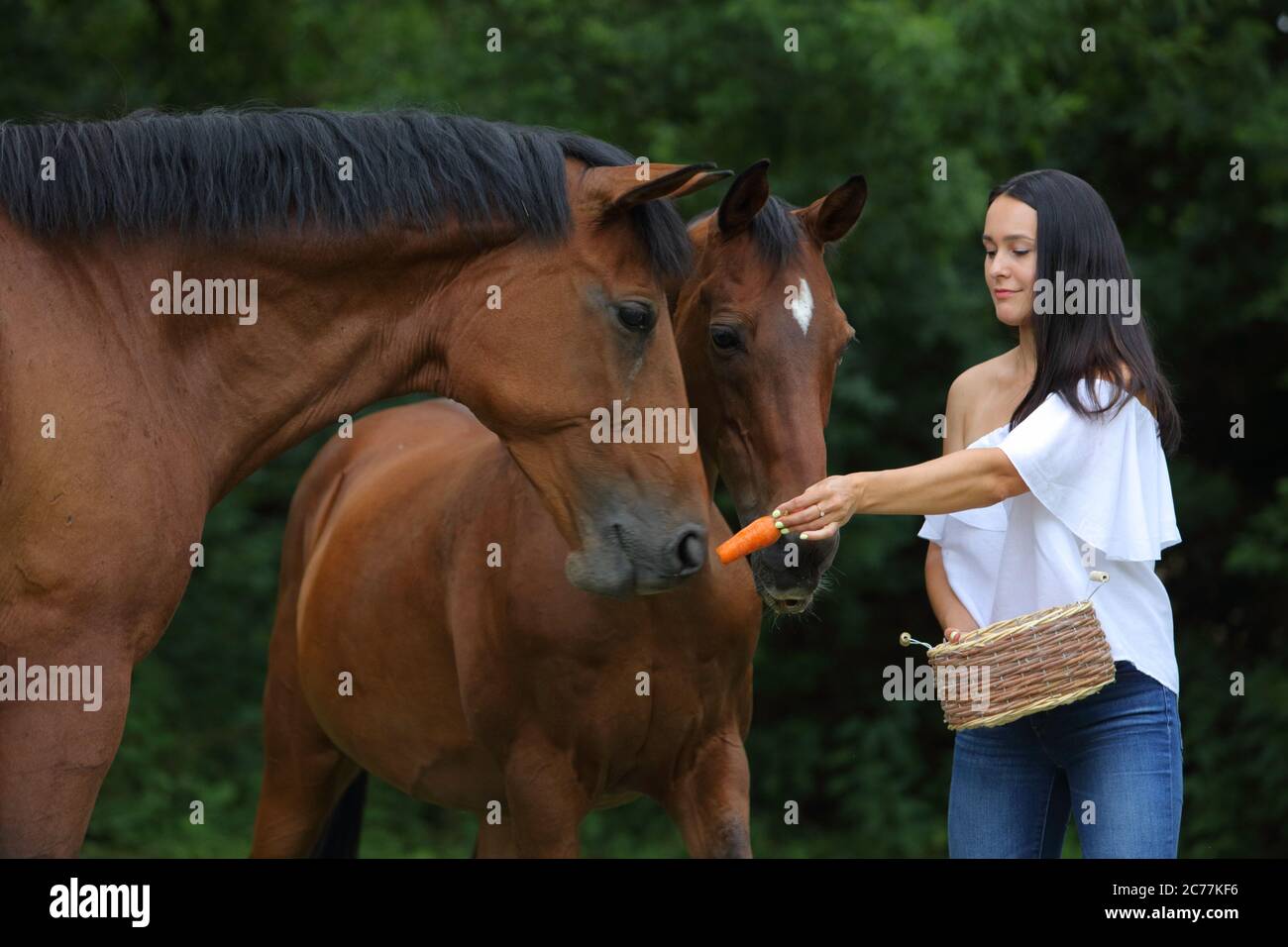 Hübsches Mädchen lächelt streichelt glatt das Pferd`s Mähne auf dem Feld. Zaum, Erwachsener. Stockfoto
